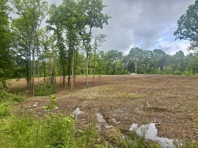 23085 Jordan Run Road Coolville, OH 45723 - Photo 7 of 18 cbfda56e-c348-42c5-80fd-7fe2a49e6dd5