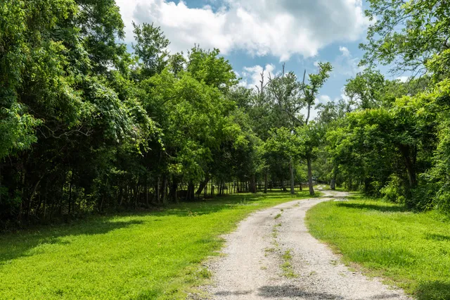 a view of a garden with an outdoor seating