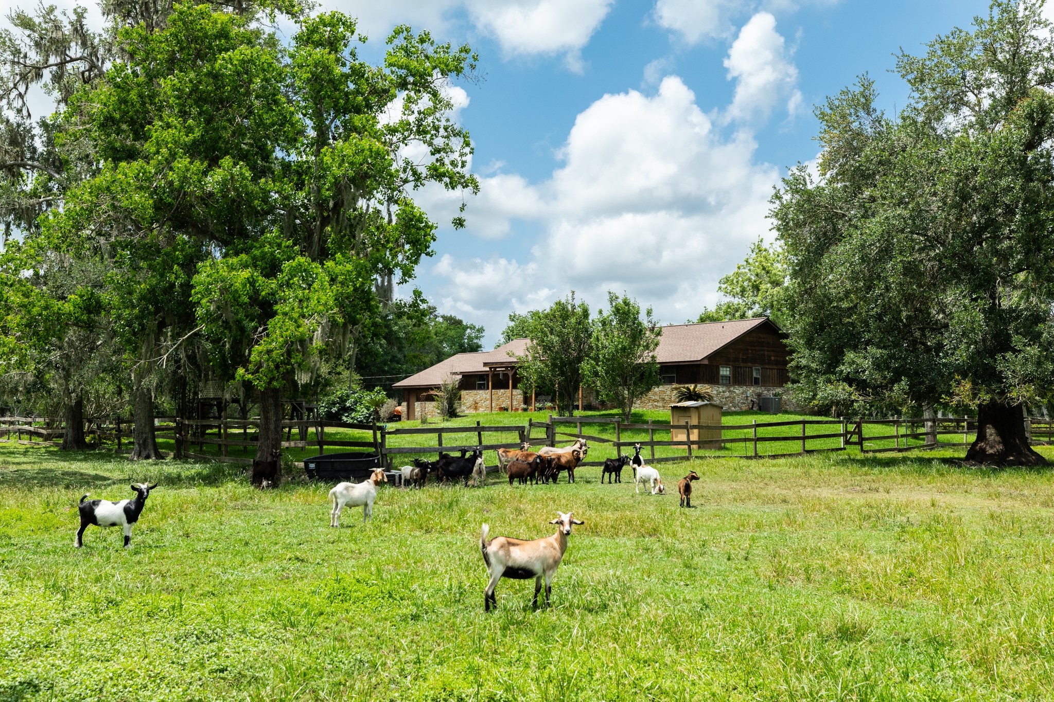 4821 County Road 288 Angleton, TX 77515 - Photo 32 of 35 a backyard of a house with lots of green space and fountain