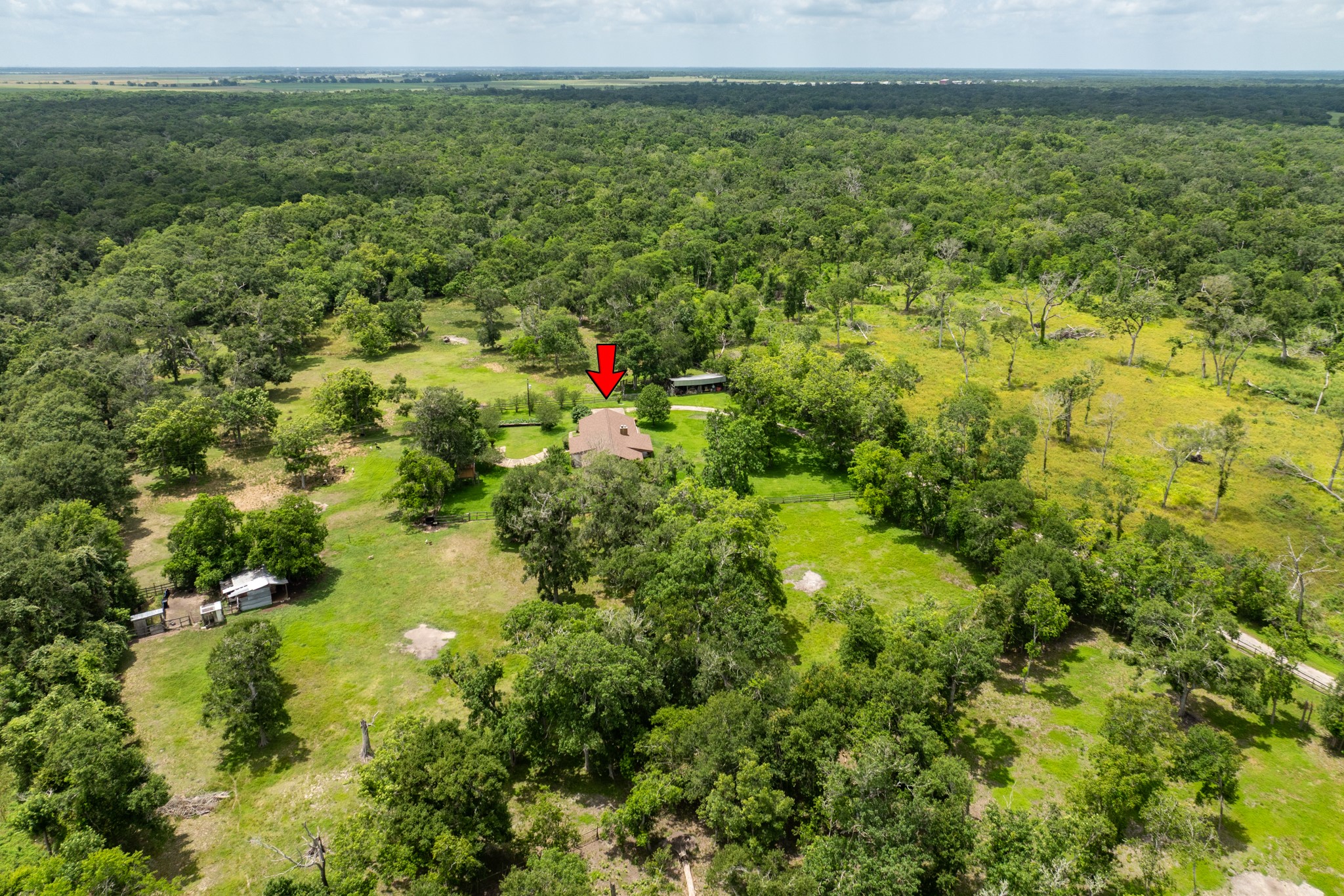 4821 County Road 288 Angleton, TX 77515 - Photo 4 of 35 a view of a big yard with lots of palm trees