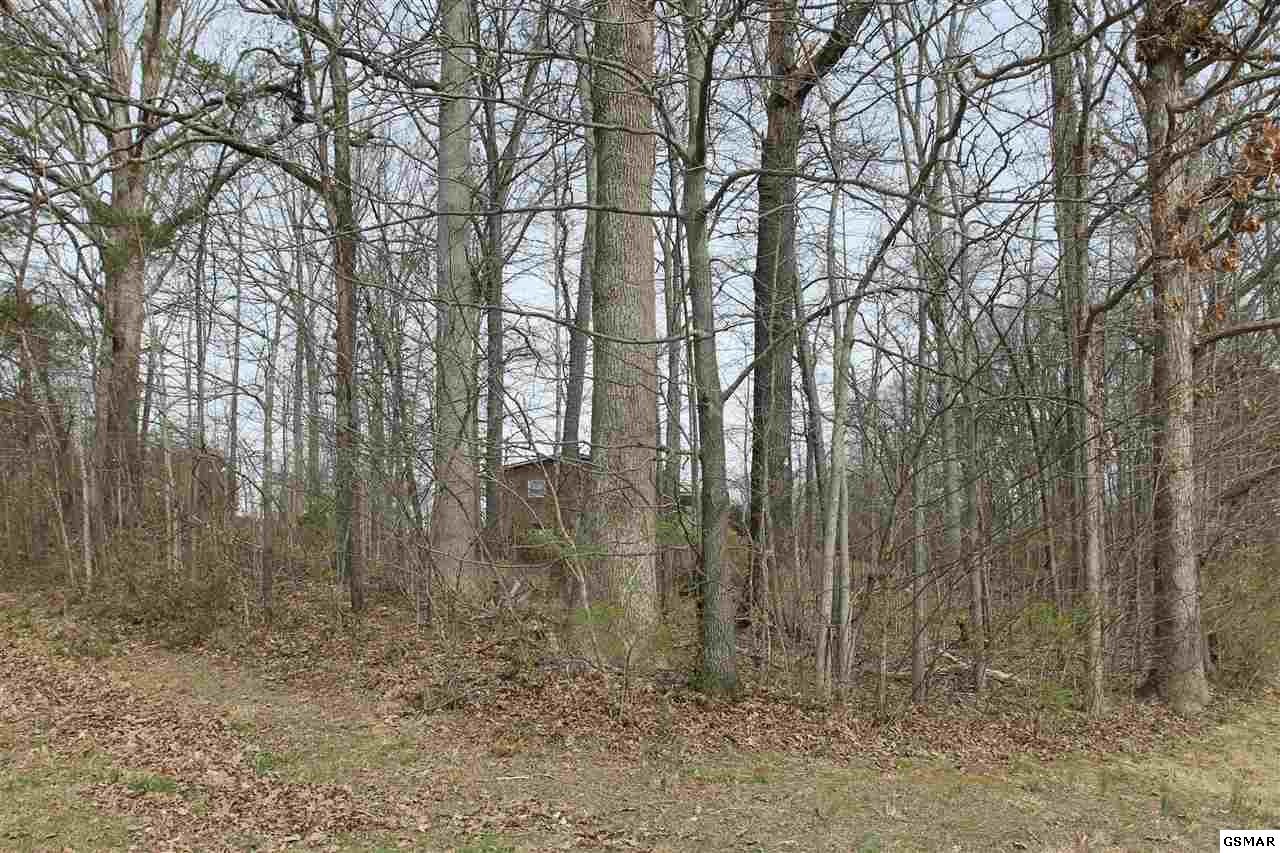 8712 Simpson Road Knoxville, TN 37920 - Photo 30 of 30 Gallery Image 30