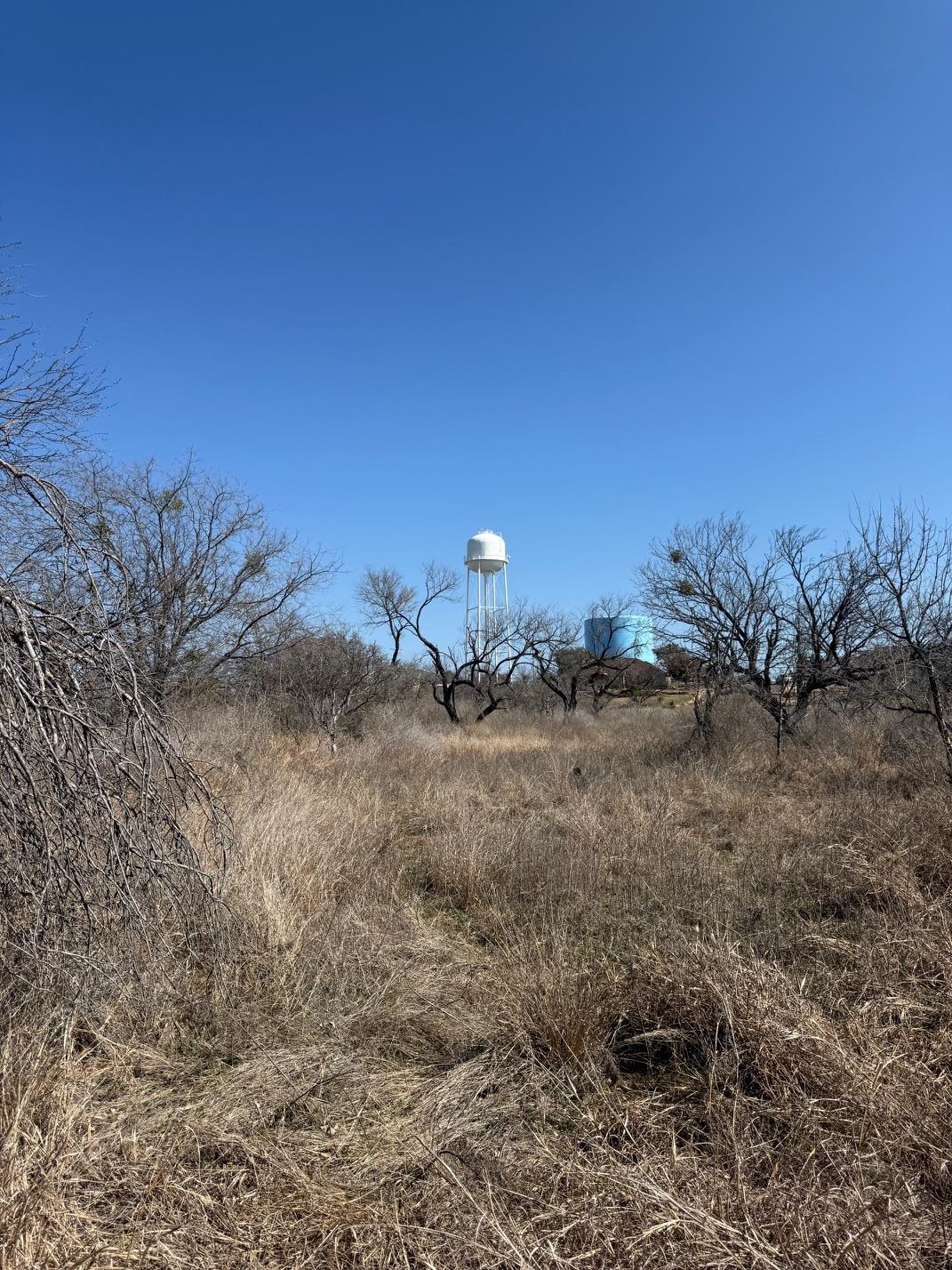 a view of a dry yard with trees