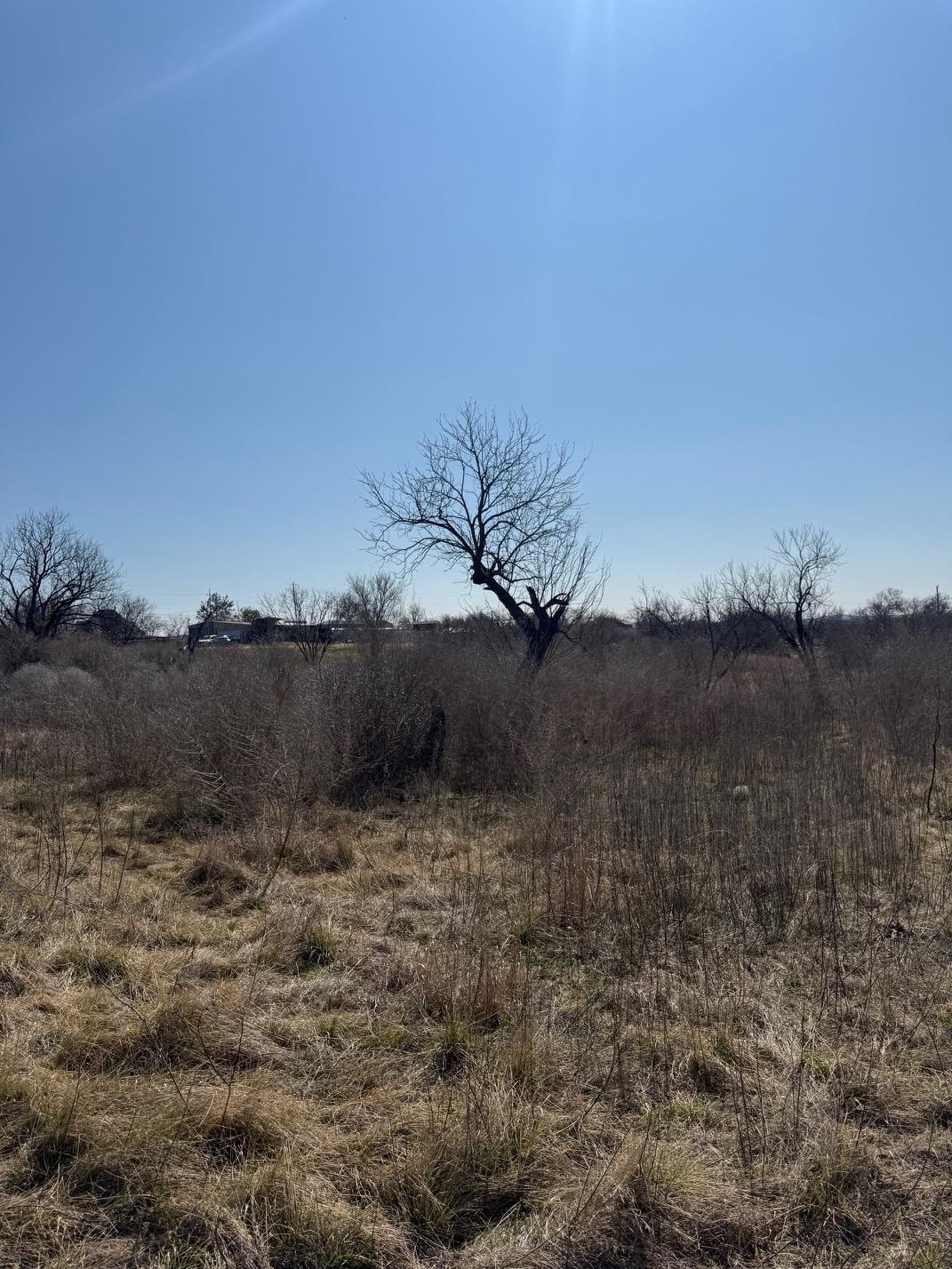 Tbd Hale Street Llano, TX 78643 - Photo 4 of 16 a view of a yard