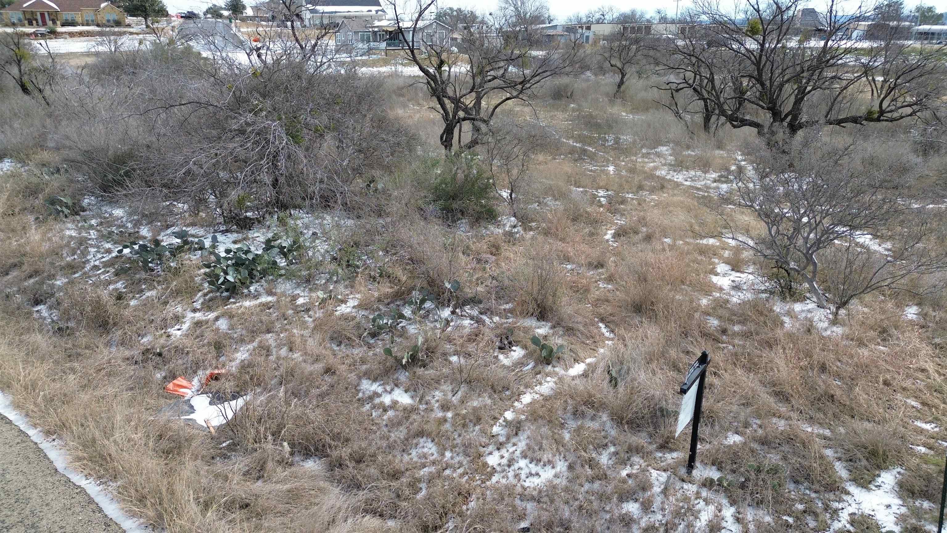 Tbd Hale Street Llano, TX 78643 - Photo 6 of 8 a view of a forest with a tree