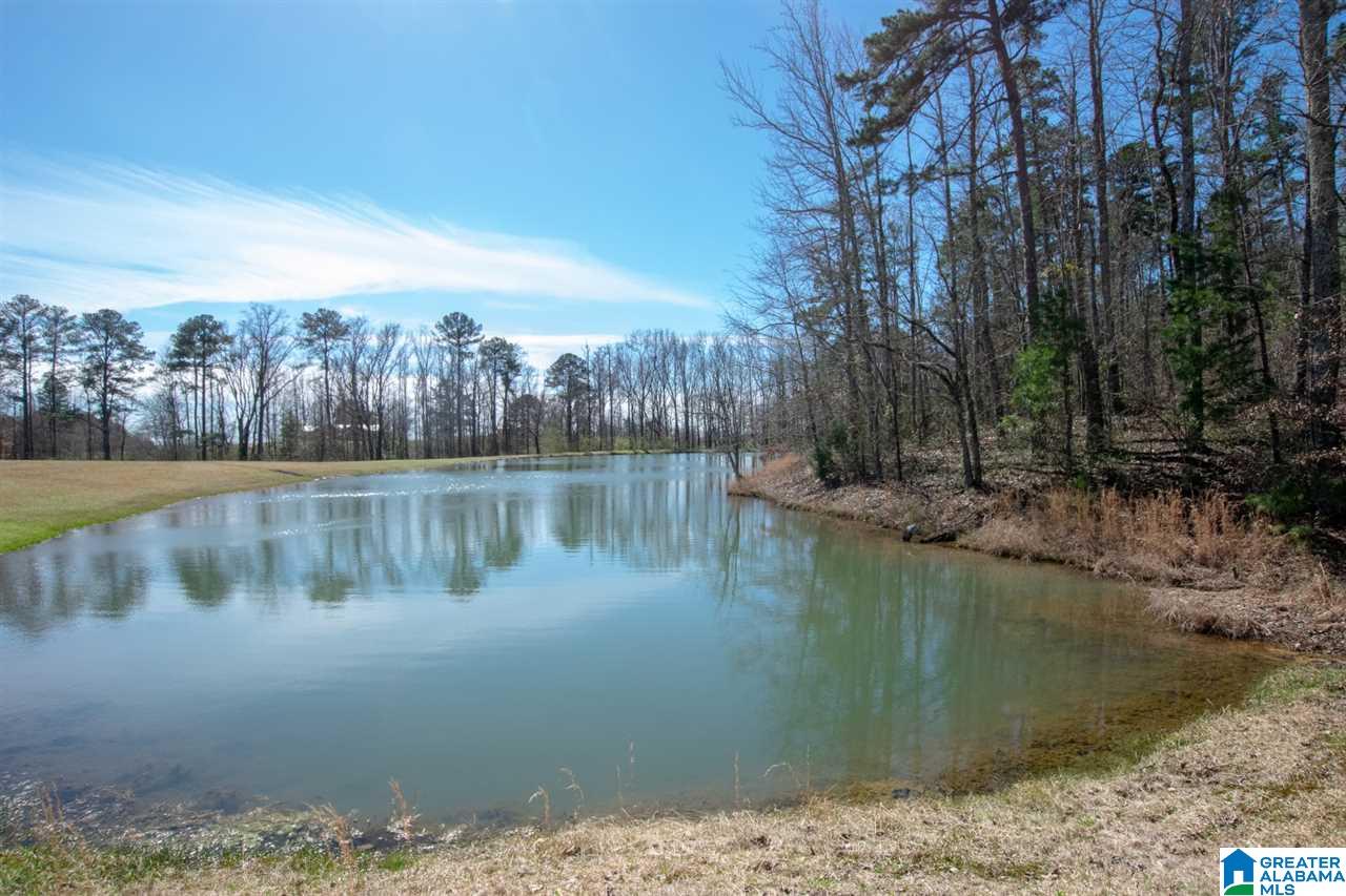 960 Rock Springs Road Warrior, AL 35180 - Photo 40 of 46
