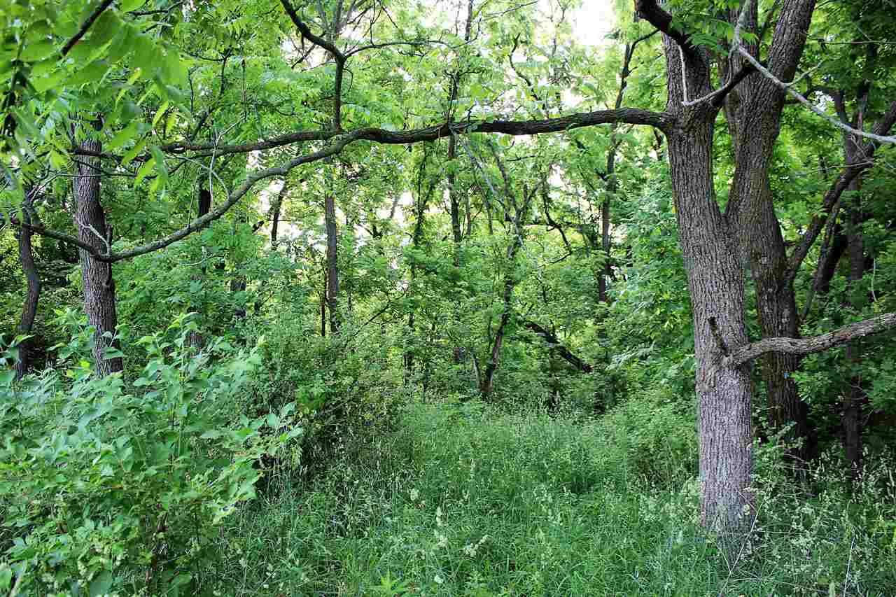 216th Street Bellevue, IA 52031 - Photo 10 of 24 Gallery Image 10