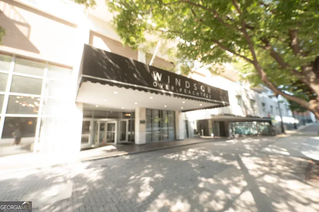 a backyard of a house with large tree and deck