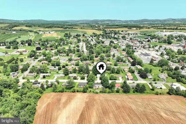 an aerial view of residential houses with outdoor space and trees