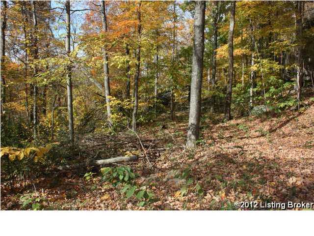 1504 Country Paradise Road Leitchfield, KY 42754 - Photo 12 of 24 Additional Photo