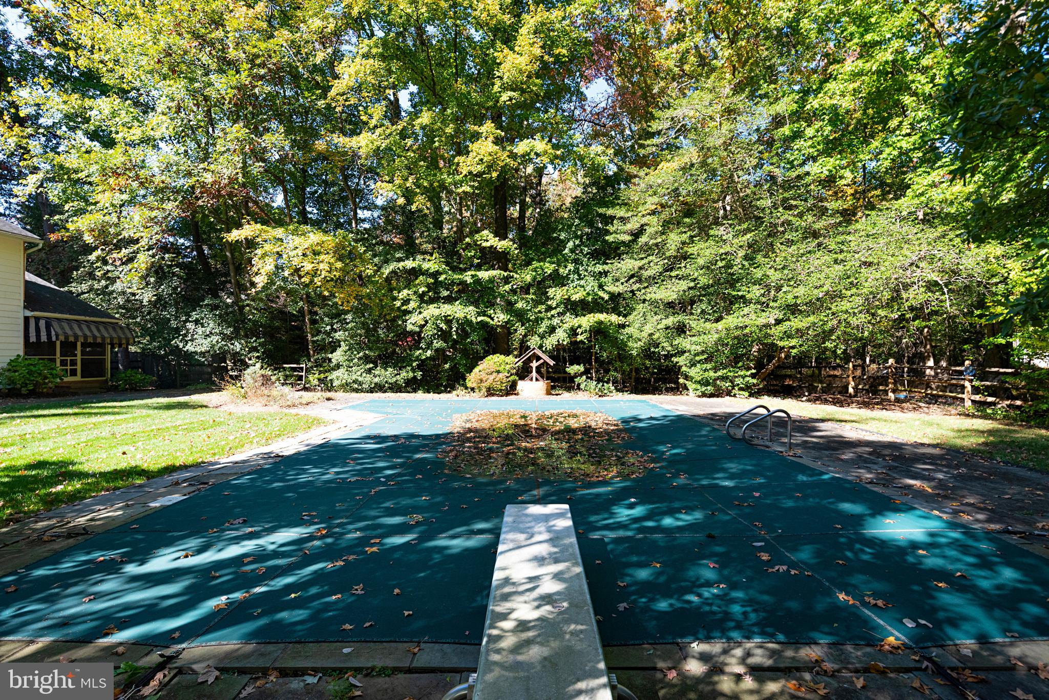 1619 Ridout Road Annapolis, MD 21409 - Photo 36 of 37 Classic Pool with diving board