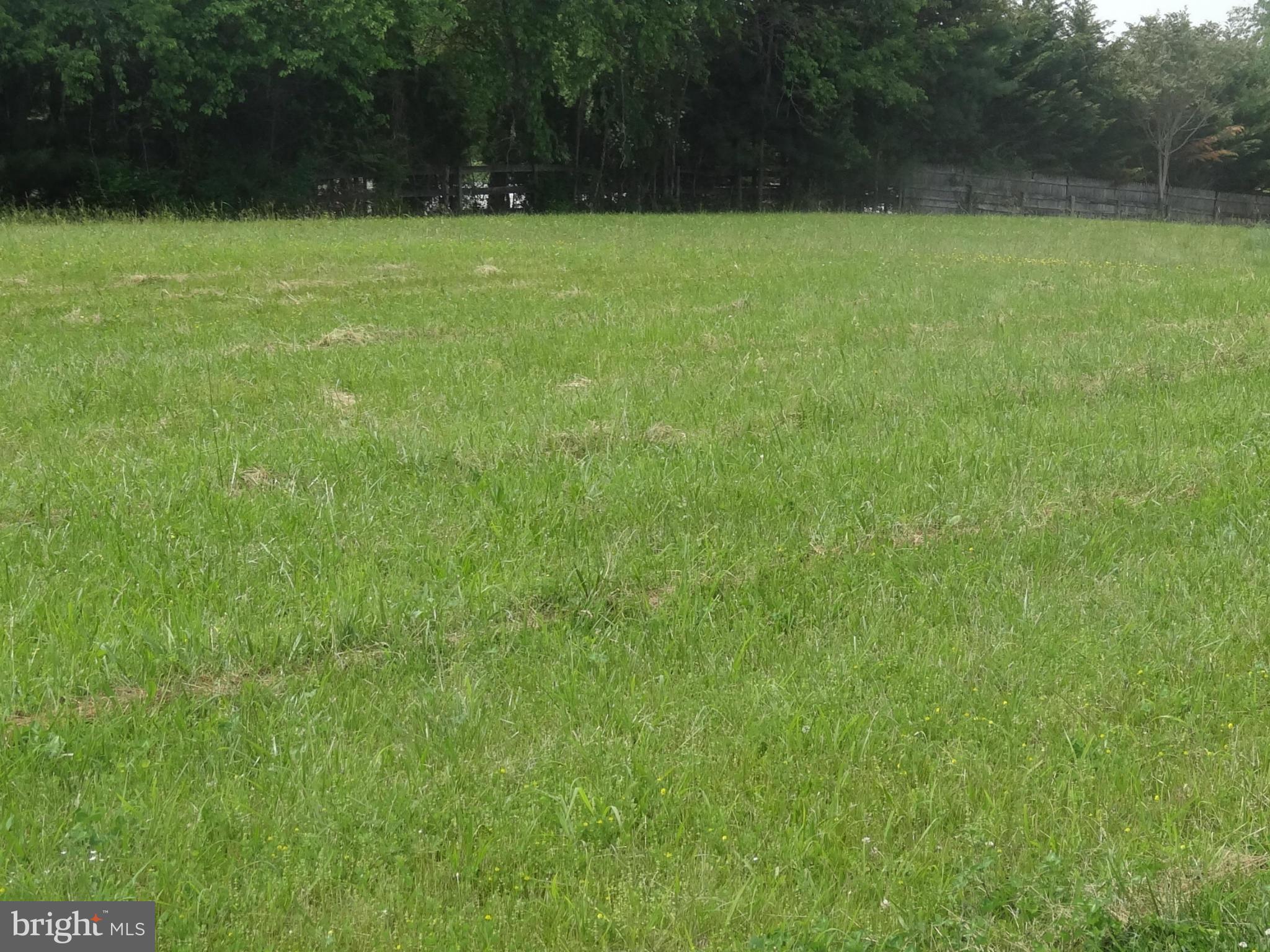 Alexis Drive Ranson, WV 25438 - Photo 6 of 6 View