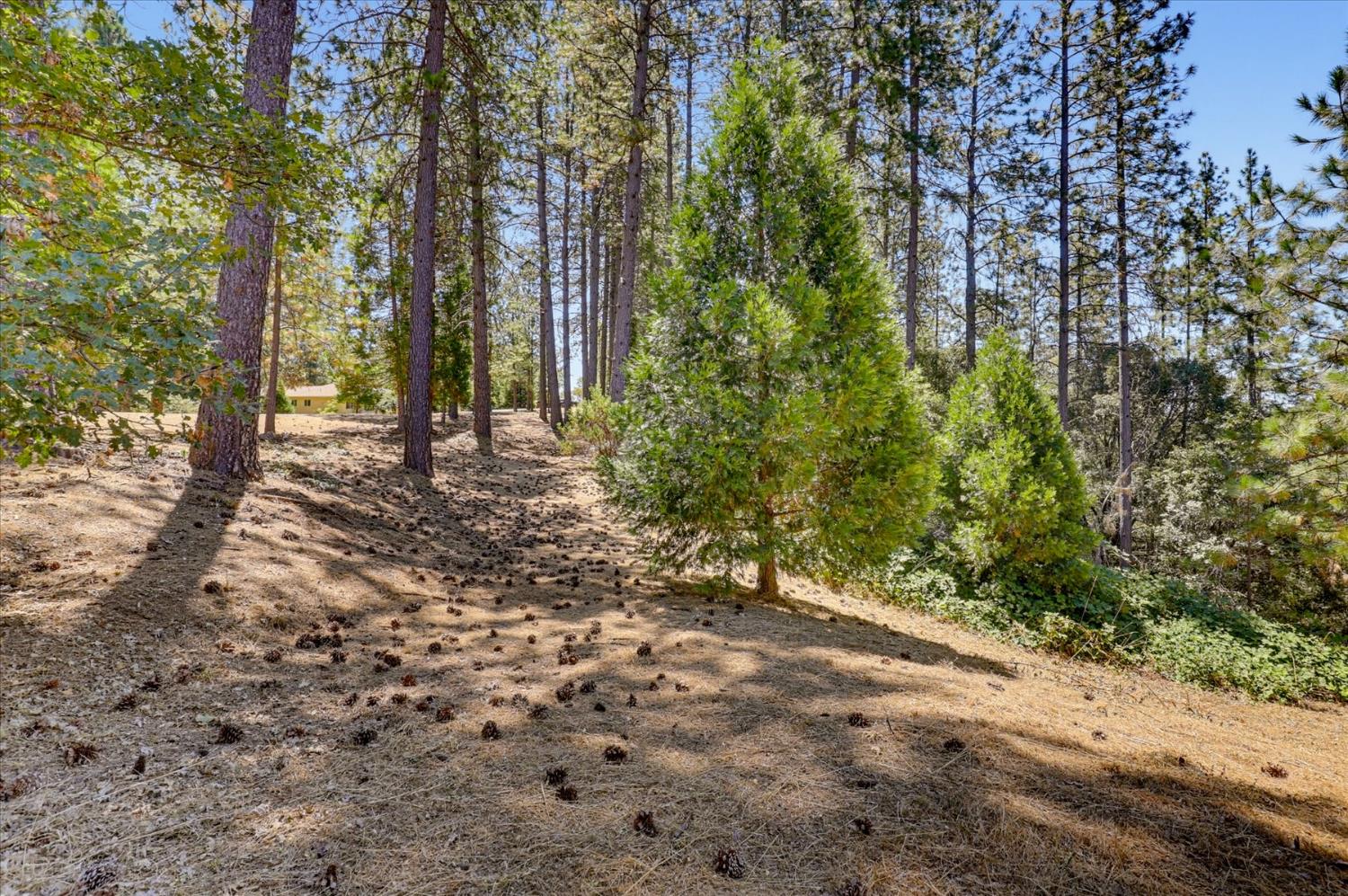 16300 Kiwi Road Grass Valley, CA 95949 - Photo 43 of 88 Gallery Image 43