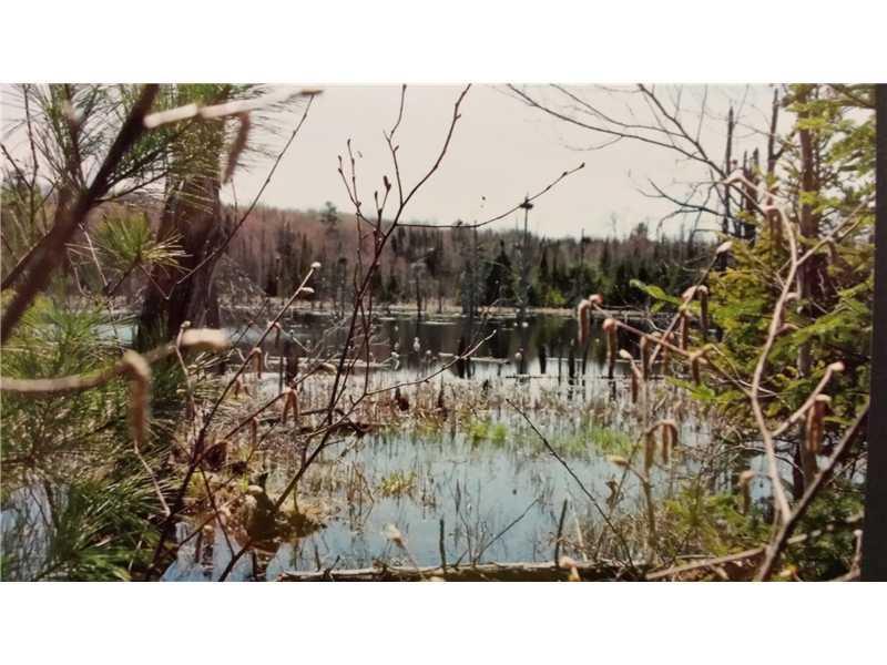 0 Old Stage& Off Annis Road Hermon, ME 04401 - Photo 7 of 10 Land/Lot. Interior pond