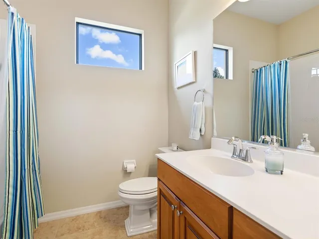 a view of a yard with plants