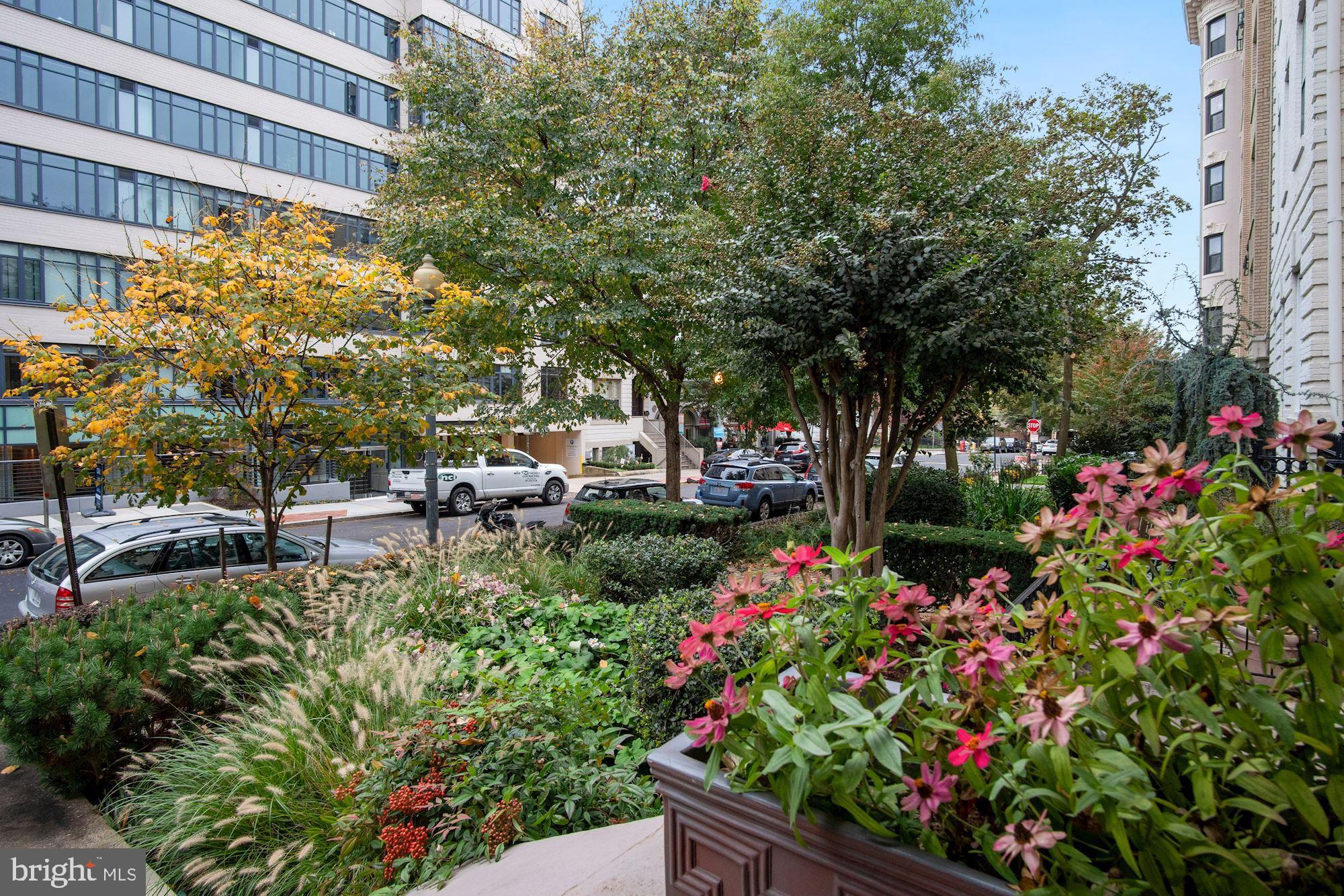 2145 California Street Northwest, Unit 201 Washington, DC 20008 - Photo 4 of 30 The Warren's flower box and front gardens