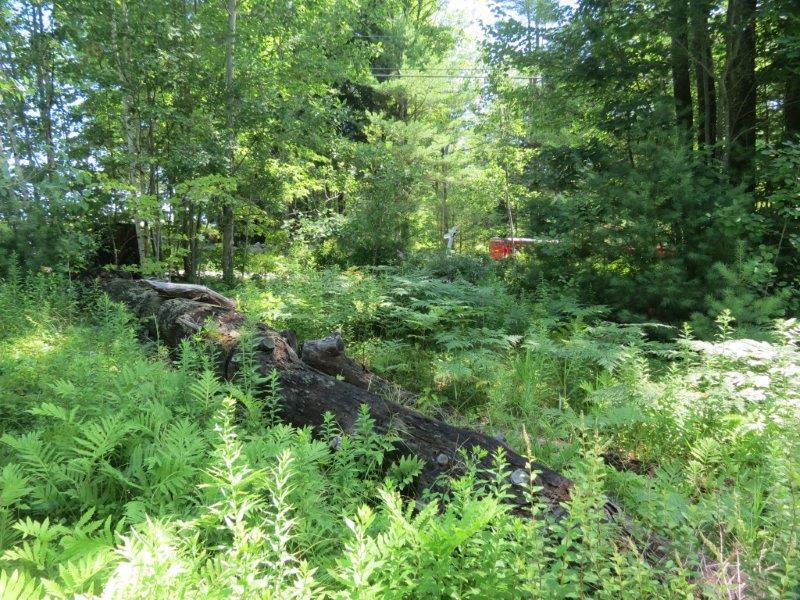 37-7 Upper Ridge Road Bridgton, ME 04009 - Photo 8 of 10 Standing on the lot looking back at...