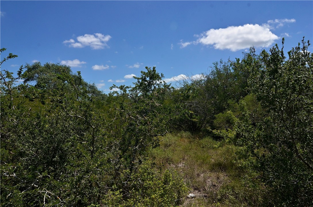 1641 Charco Road Beeville, TX 78102 - Photo 2 of 27