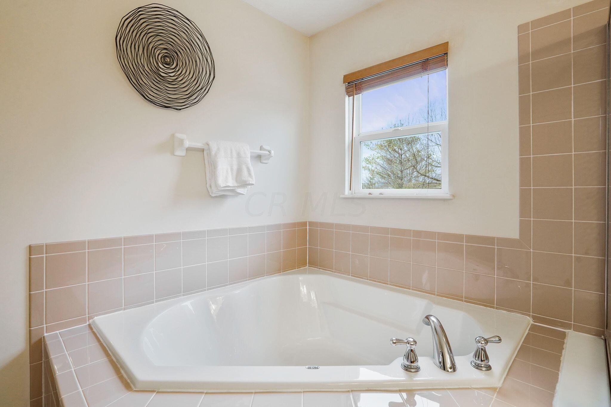 4775 Heath Trails Road Hilliard, OH 43026 - Photo 35 of 63 Primary Bathroom