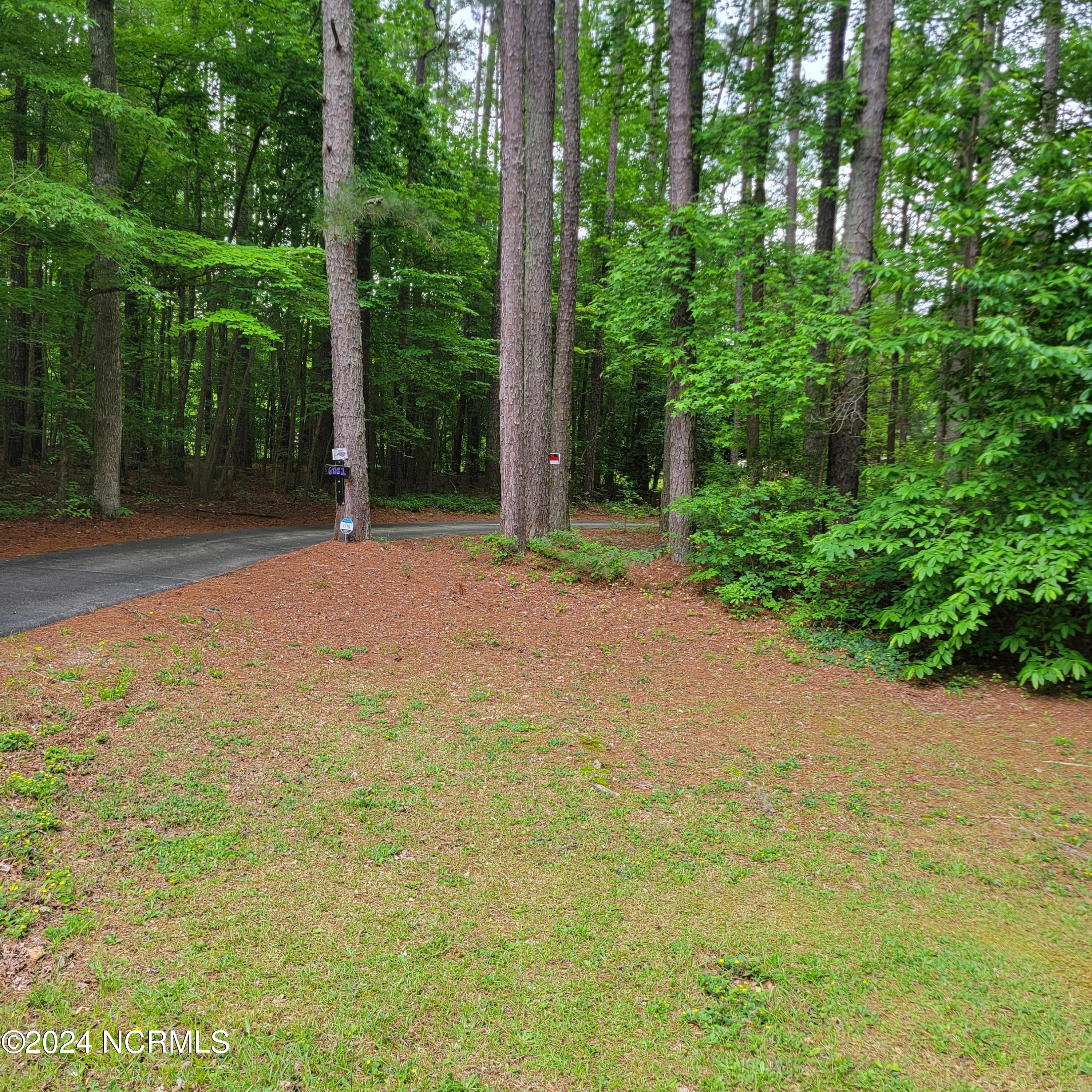6081 Hoyt Road Middlesex, NC 27557 - Photo 2 of 59 Beginning.View.from.Hoyt.Road