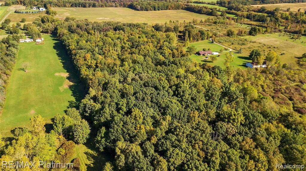 Vl Whitney Road Gaines, MI 48436 - Photo 5 of 10