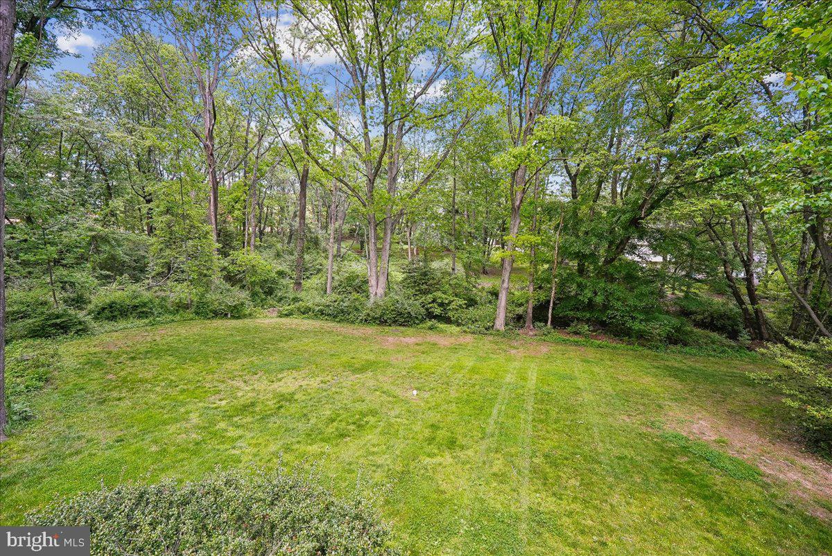 10806 Oldfield Drive Reston, VA 20191 - Photo 37 of 44