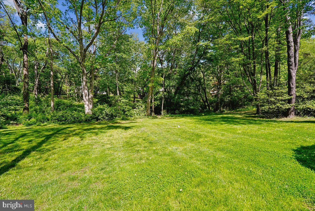 10806 Oldfield Drive Reston, VA 20191 - Photo 38 of 44