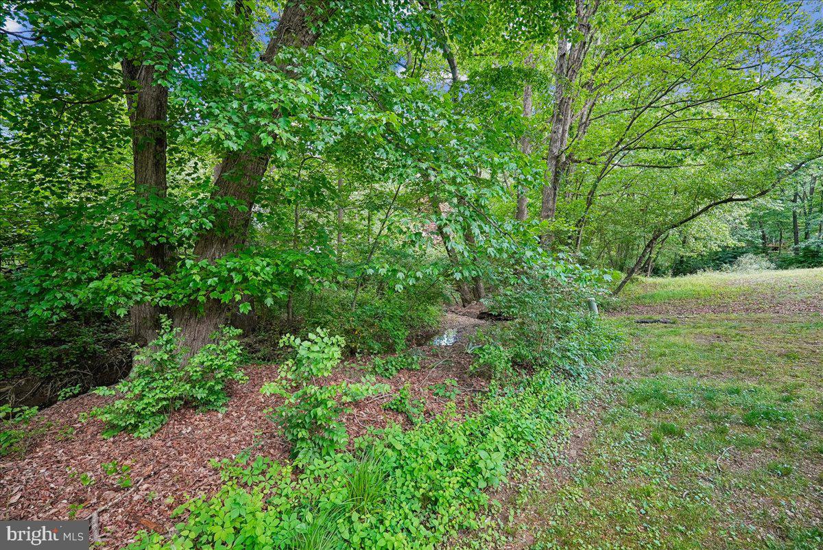 10806 Oldfield Drive Reston, VA 20191 - Photo 40 of 44