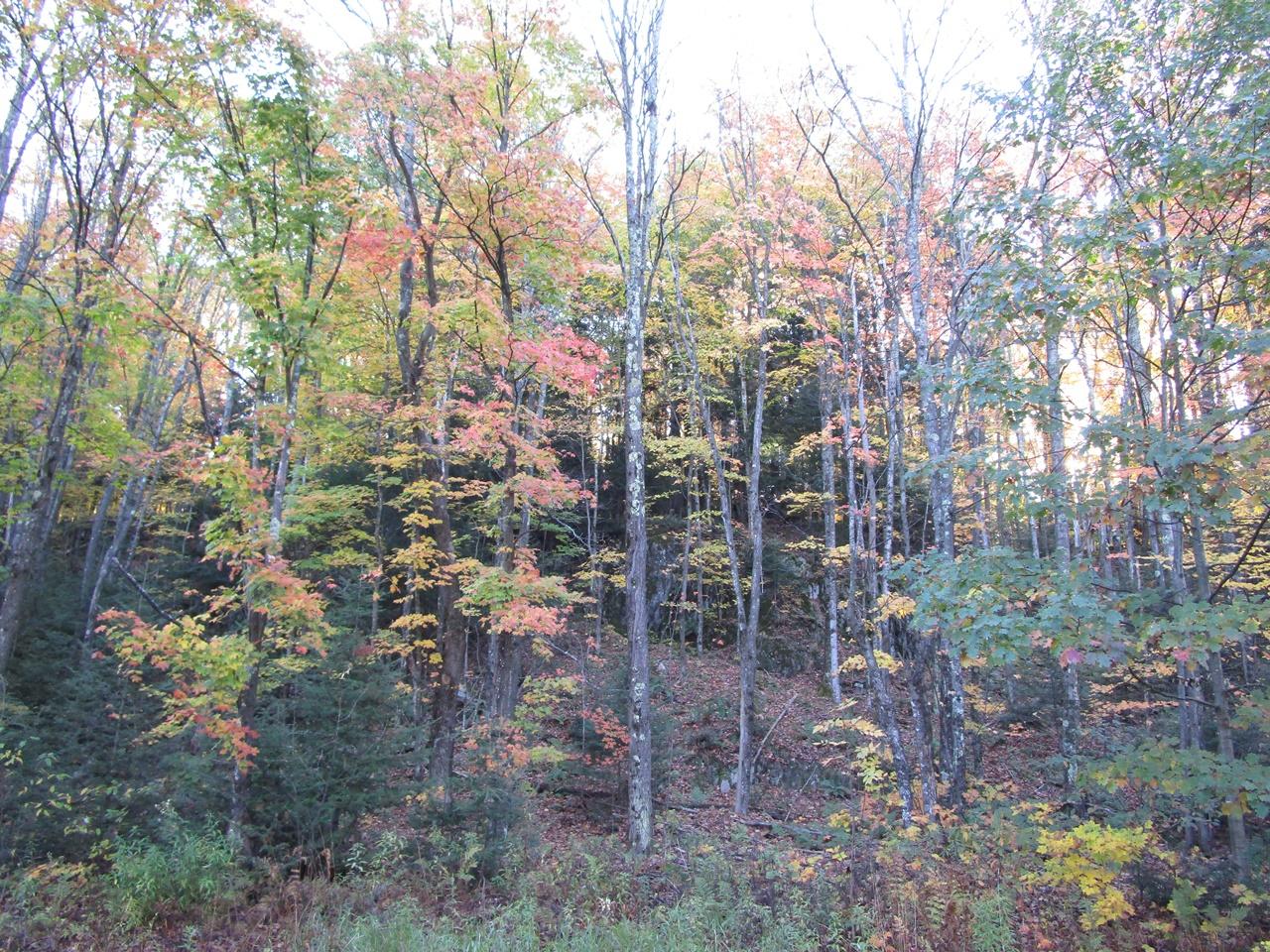 11-ac On Kimmear Road Mercer, WI 54547 - Photo 7 of 16 Gallery Image 7