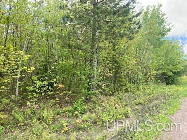 2 Boundary Road Chassell, MI 49916 - Photo 38 of 77