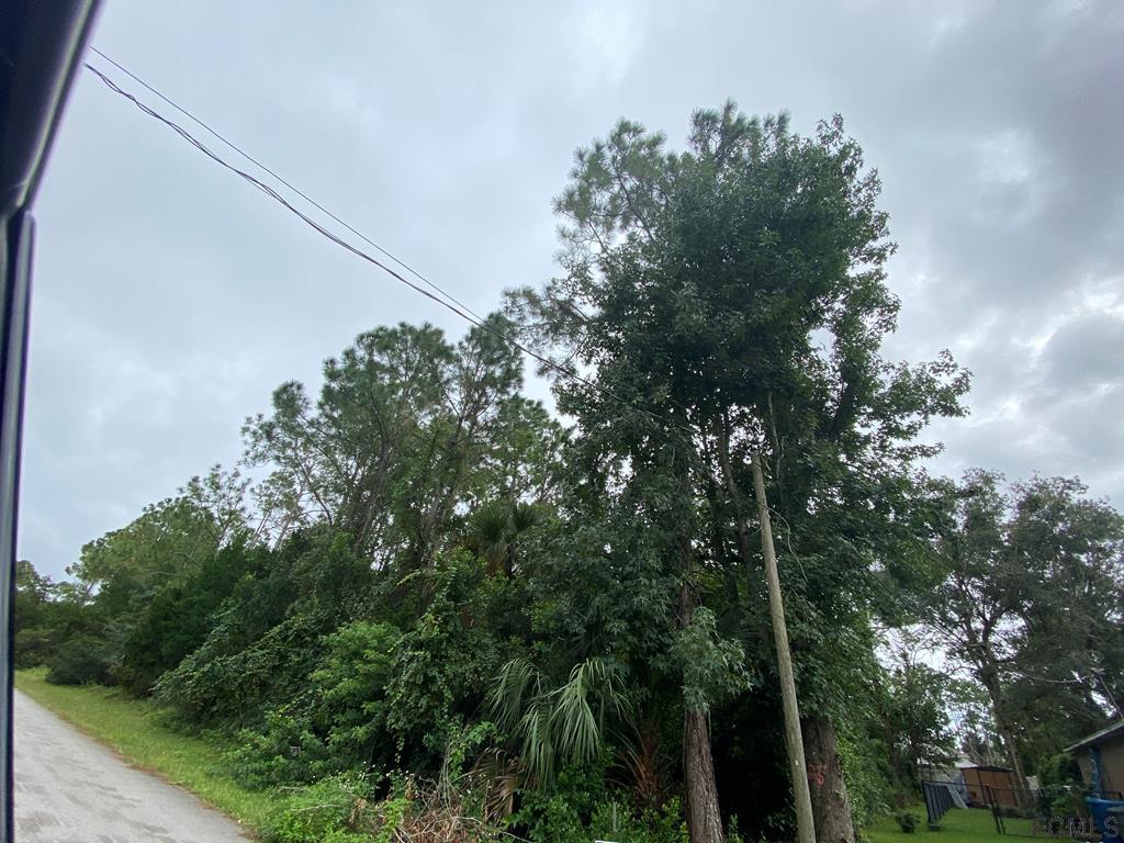 121 Secretary Trail Palm Coast, FL 32164 - Photo 2 of 5 a backyard of a house with lots of trees