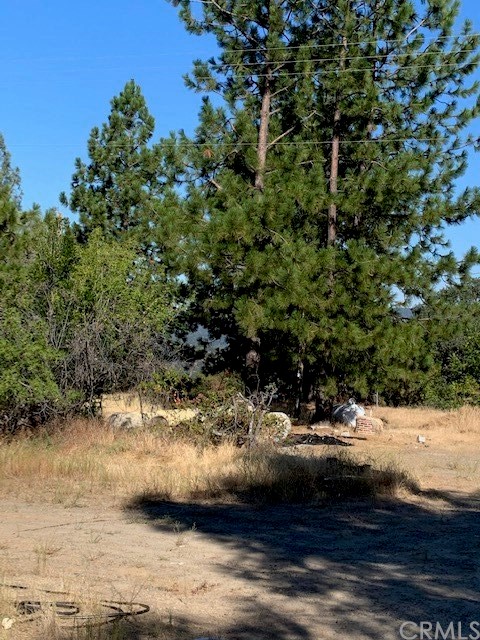 4919 Usona Road Mariposa, CA 95338 - Photo 24 of 38 Area for second home or barn with power, septic and water!
