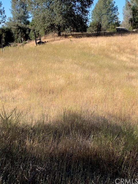 4919 Usona Road Mariposa, CA 95338 - Photo 26 of 38 Gentle and usable land!