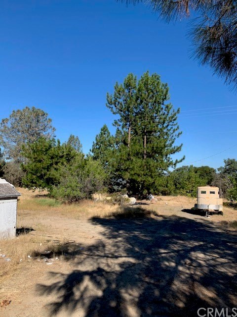 4919 Usona Road Mariposa, CA 95338 - Photo 28 of 38 Second home or barn site!!