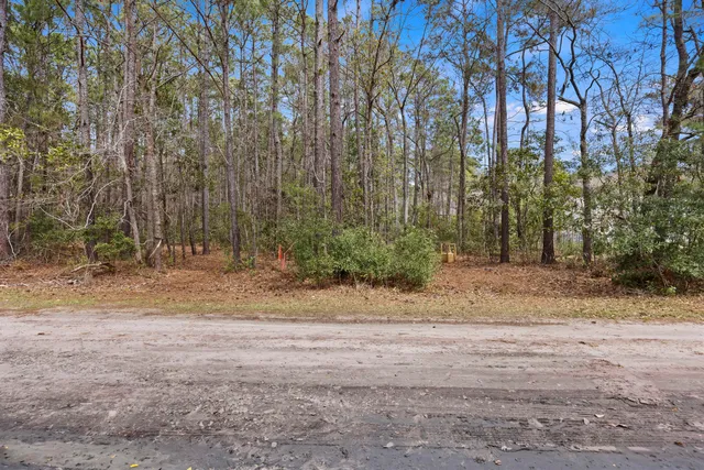 $239,900 | 4 B Sebago Road, Meggett, SC 29449