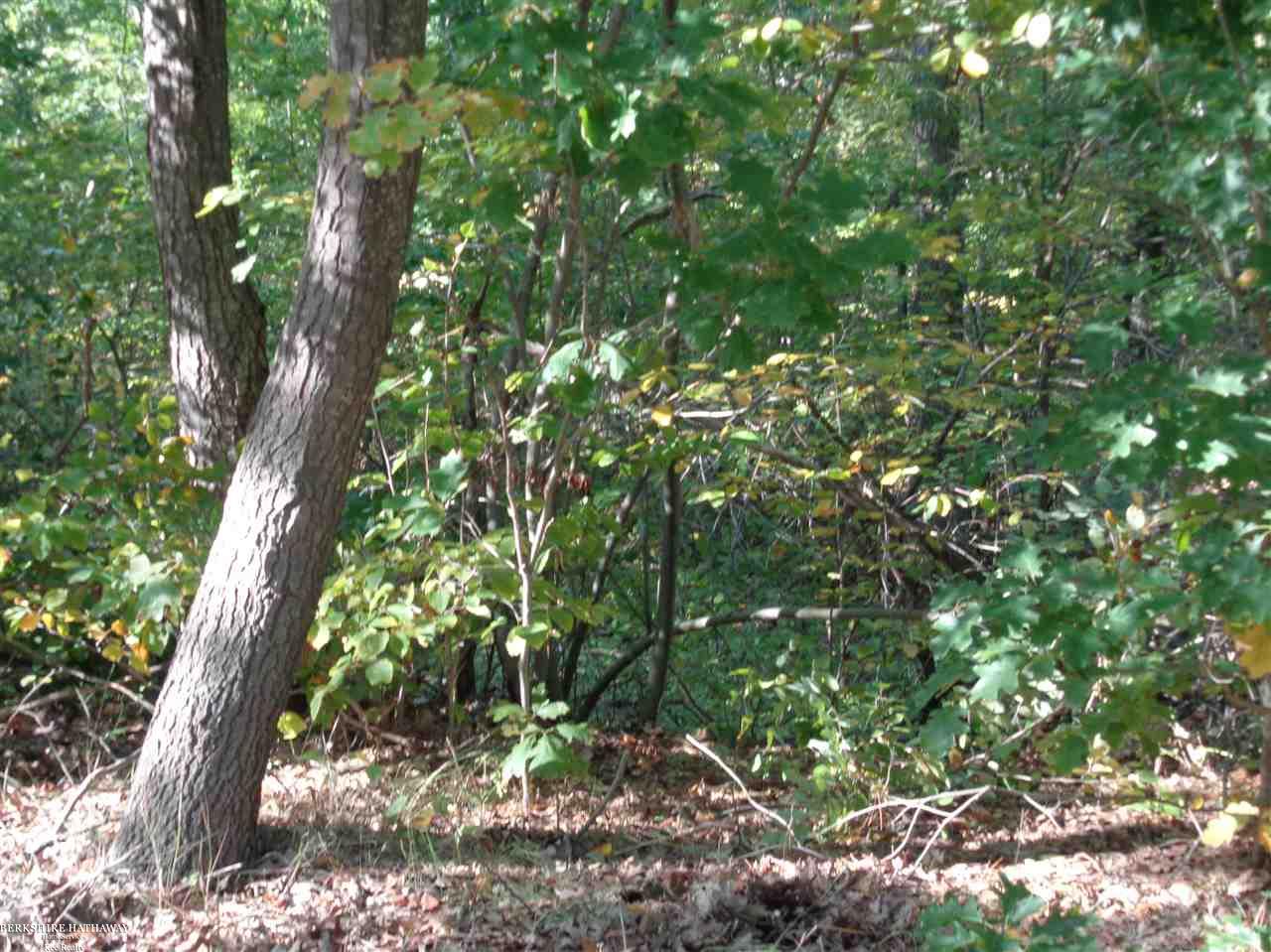 Lot 39 Weaver Rd Port Port Austin, MI 48467 - Photo 2 of 5