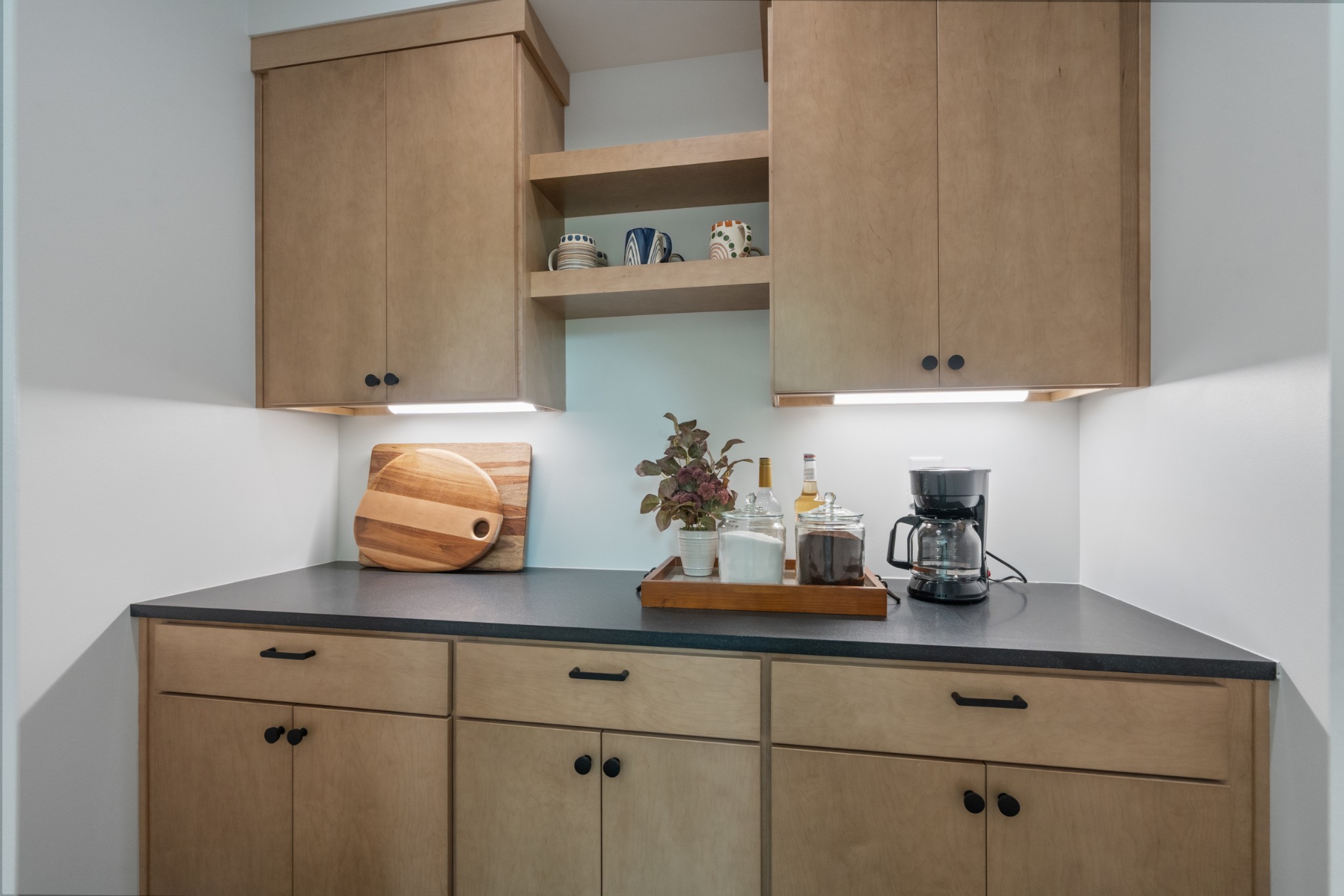 7922 East Plunders Creek Road Dickson, TN 37055 - Photo 20 of 86 a kitchen with a cabinets and a potted plant on the counter