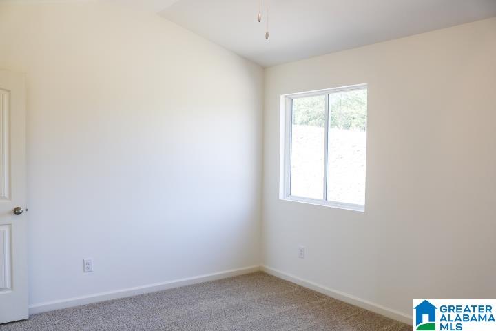 254 Chelsea Park Road Chelsea, AL 35043 - Photo 19 of 33