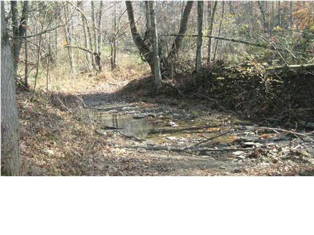 100 Barton Ferry Road Grayson, KY 41143 - Photo 8 of 20 Additional Photo