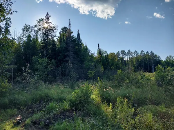 $149,500 | 3901 Pleasant Lane, Eveleth, MN 55734