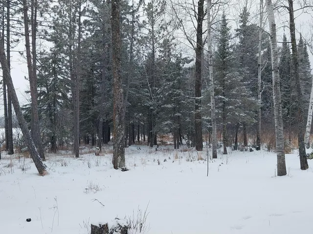 $149,500 | 3901 Pleasant Lane, Eveleth, MN 55734