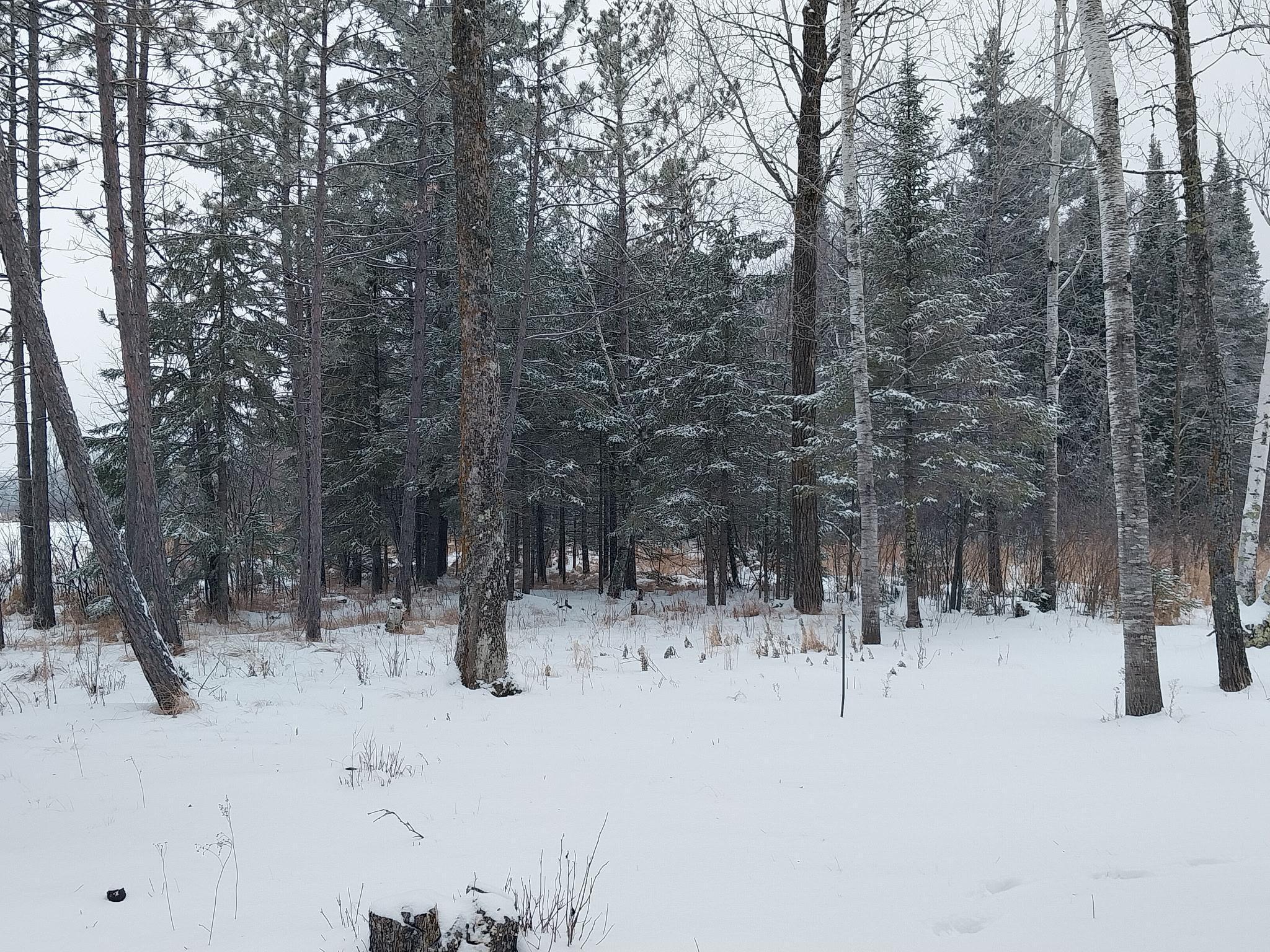 3901 Pleasant Lane Eveleth, MN 55734 - Photo 27 of 57