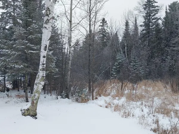 $149,500 | 3901 Pleasant Lane, Eveleth, MN 55734