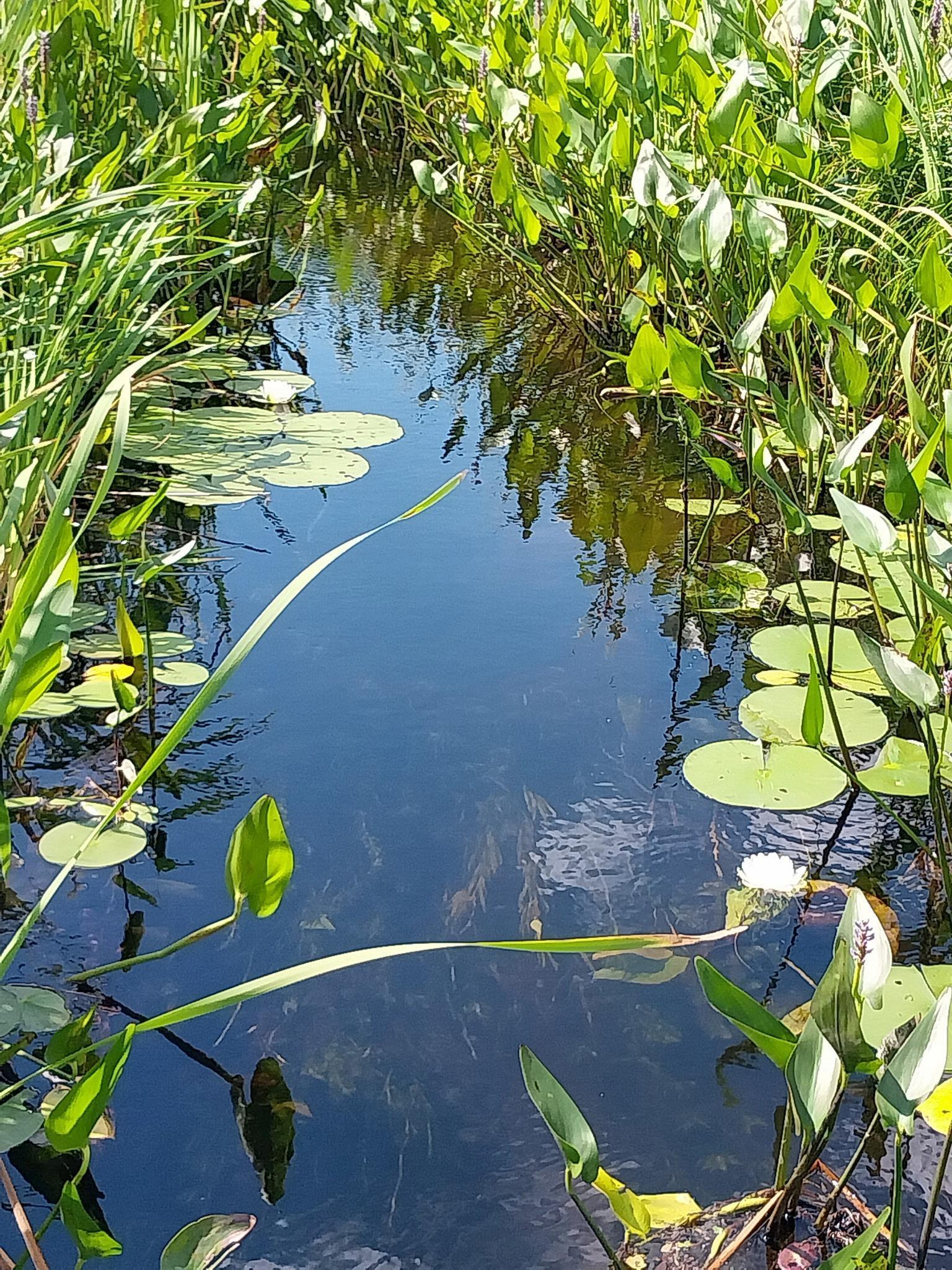 3901 Pleasant Lane Eveleth, MN 55734 - Photo 7 of 57