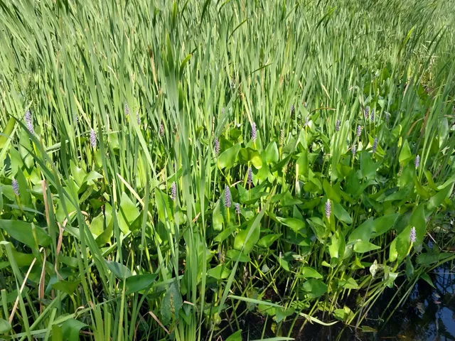 $149,500 | 3901 Pleasant Lane, Eveleth, MN 55734