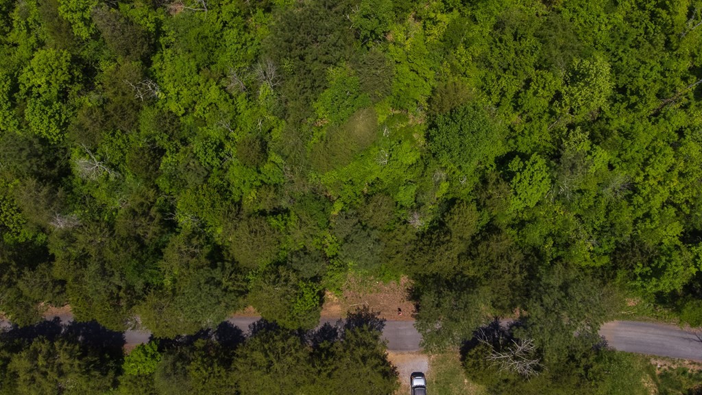 468 Co Road Englewood, TN 37329 - Photo 20 of 33