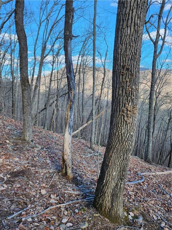 0 Trackrock Gap Road Blairsville, GA 30512 - Photo 5 of 7
