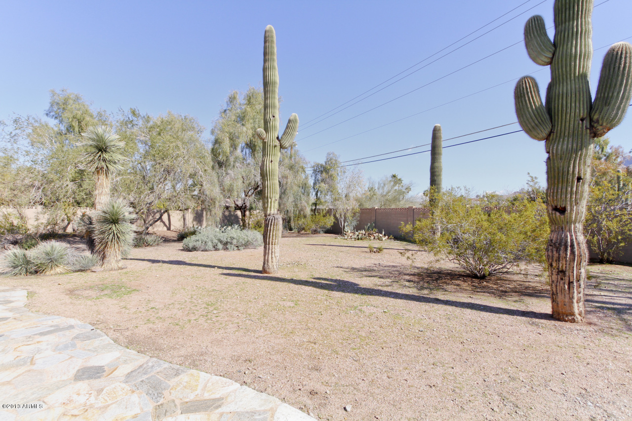 5135 North 41st Place Phoenix, AZ 85018 - Photo 7 of 36 HRM4208
