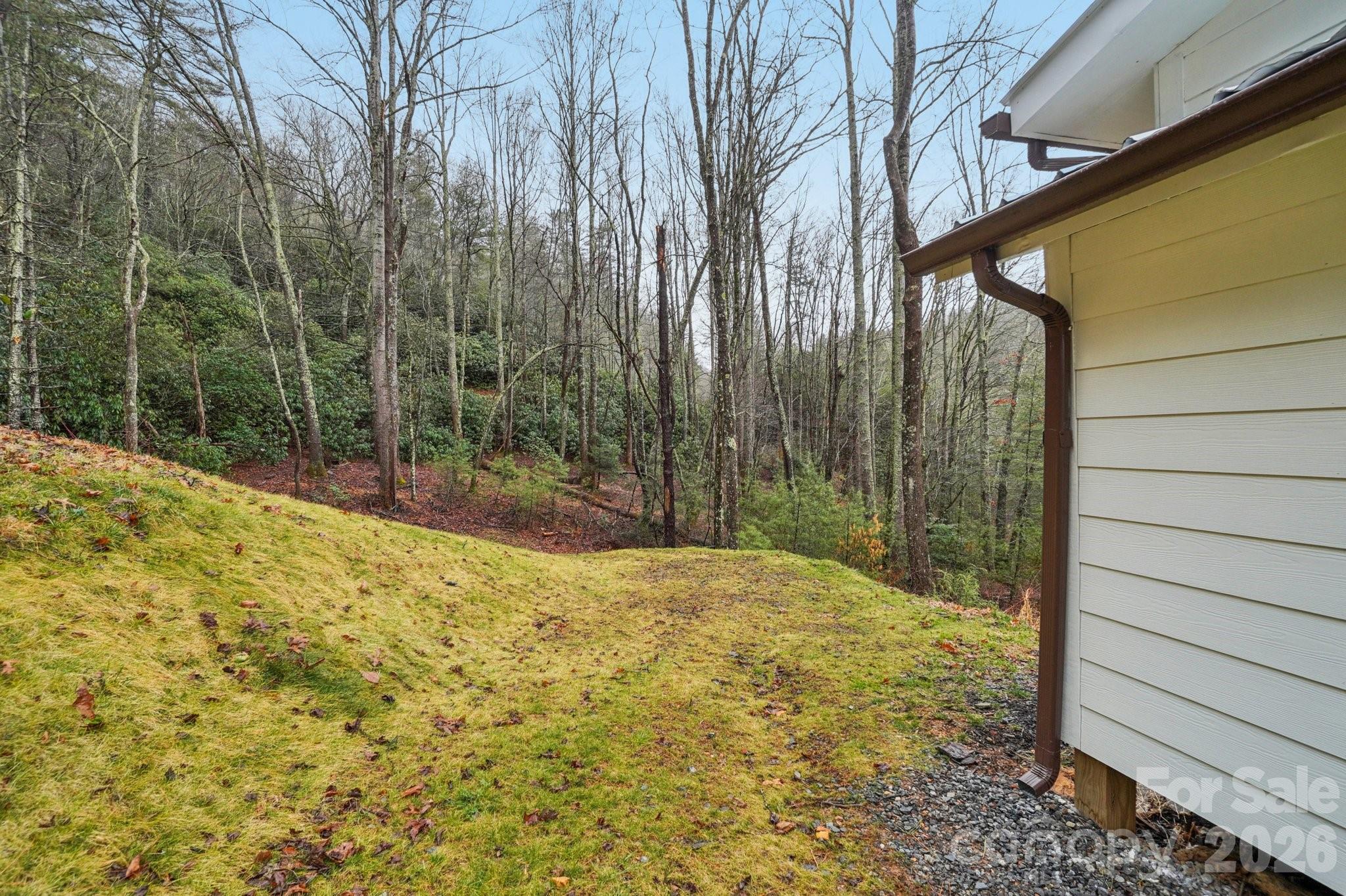 1791 Rabbit Skin Road Waynesville, NC 28785 - Photo 44 of 47