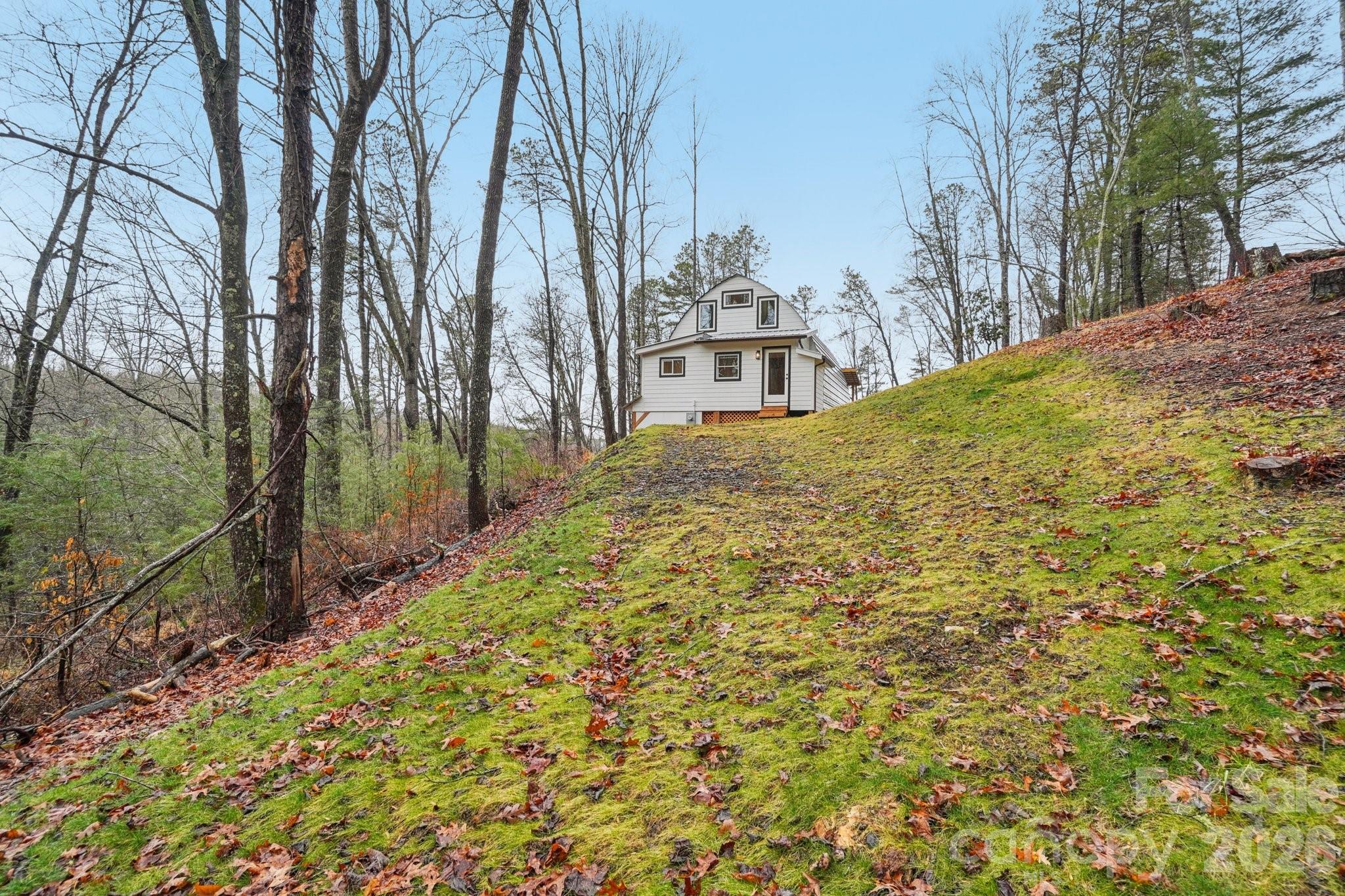 1791 Rabbit Skin Road Waynesville, NC 28785 - Photo 45 of 47