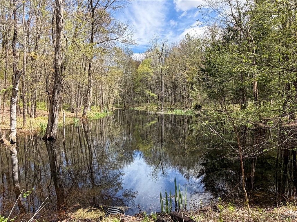 7095 Townline Road Western, NY 13440 - Photo 49 of 49